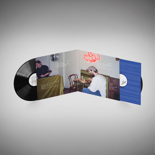 Taking Solace Vinyl
